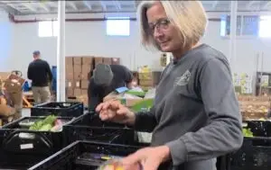 Volunteer sorting food