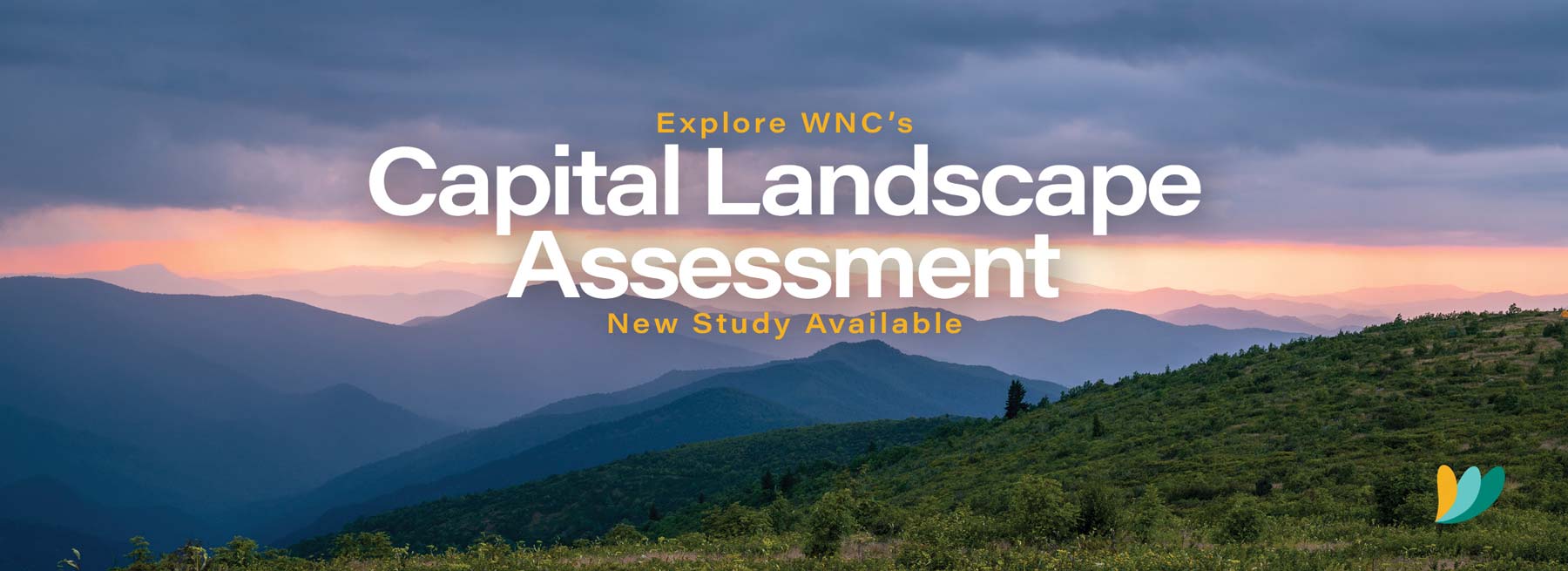 Capital Landscape Assessment banner