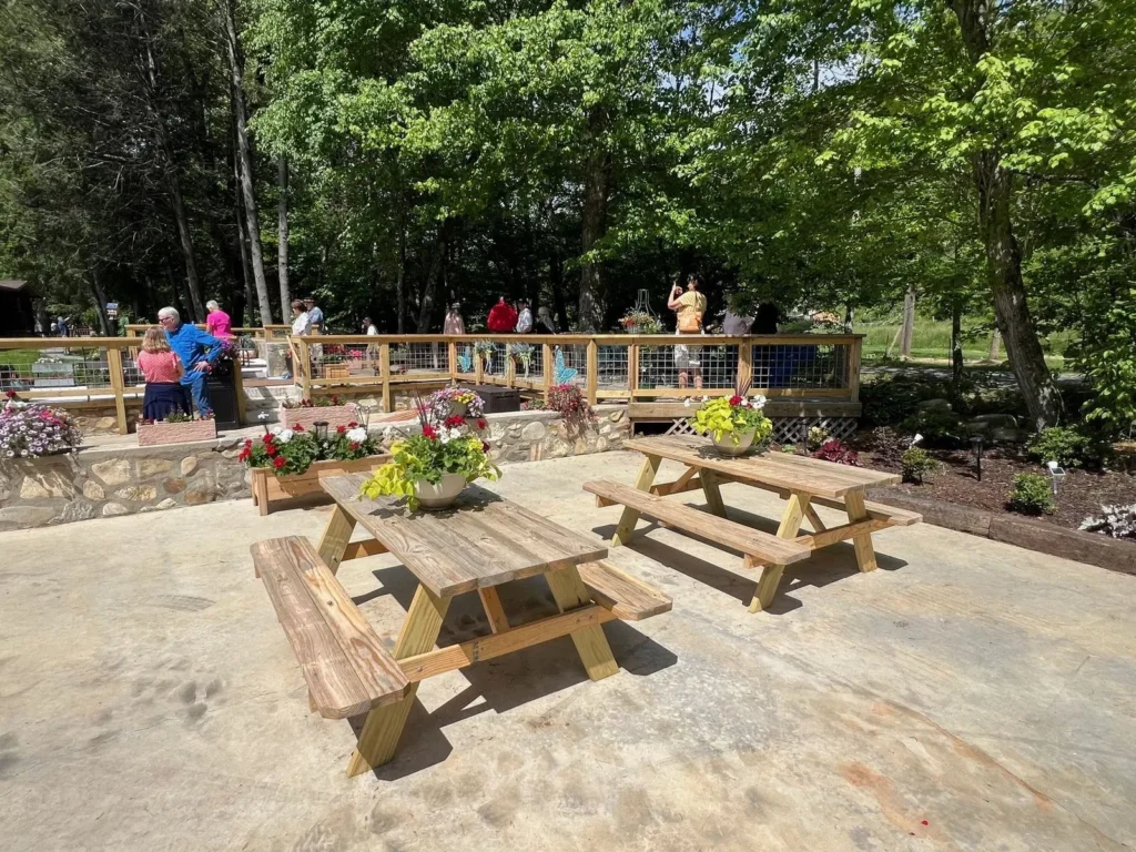 MAY 15, 2025 - After losing her Maggie Valley homestead to Hurricane Helene, Sue Pendley decided to turn the space into "Inspiration Park." (Photo: WLOS Staff)