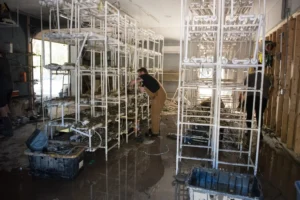 The nonprofit group Appalachian Sustainable Agriculture helps out with flooded hydroponics systems after Helene at Stump Farms in Fletcher. Provided / Appalachian Sustainable Agriculture / Camilla Calnan