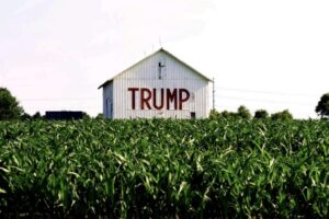 A white barn with the name "TRUMP" in red, set on a farm.