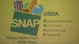SNAP logo with titles, "Putting Healthy Food Within Reach", "USDA", and "Supplemental Nutrition Assistance Program".