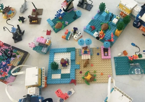 PEAK_STEMWest LEGOs Flat Lay